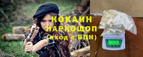 шишки Белокуриха